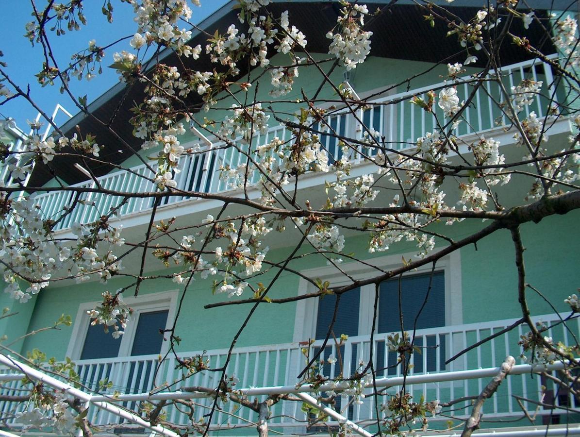 Pansion Devotions Hotel Međugorje Eksteriør billede